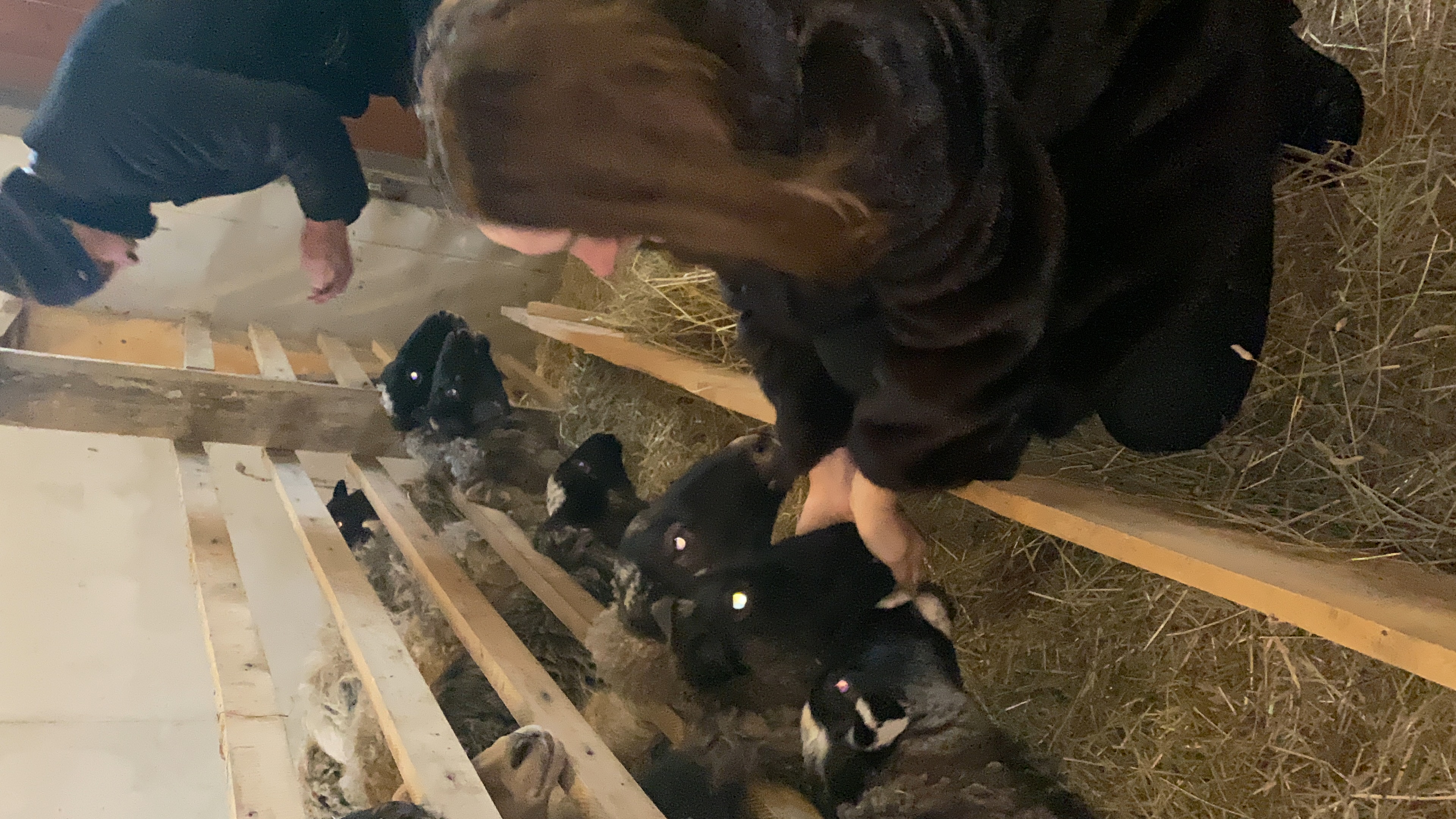 Фото Музей-Усадьба дворян Леонтьевых