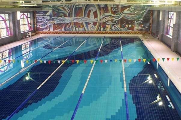 Фото Лесная сказка