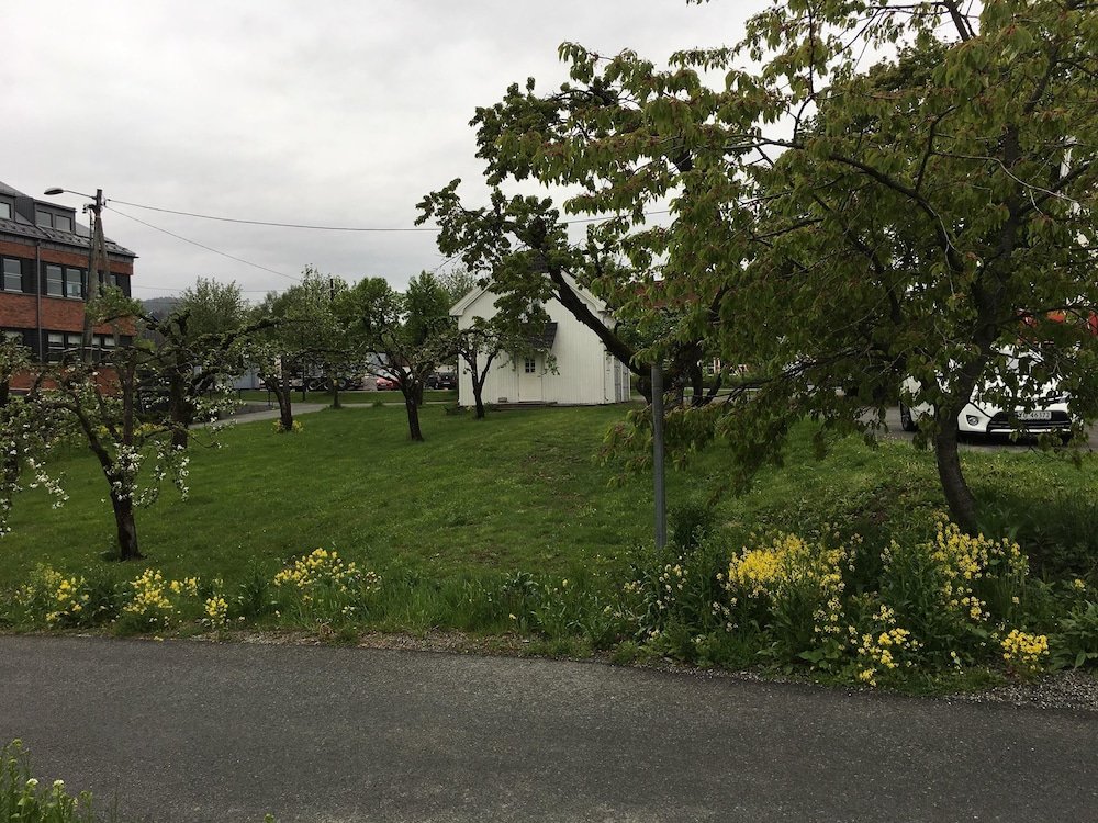 Фото Willa Holst