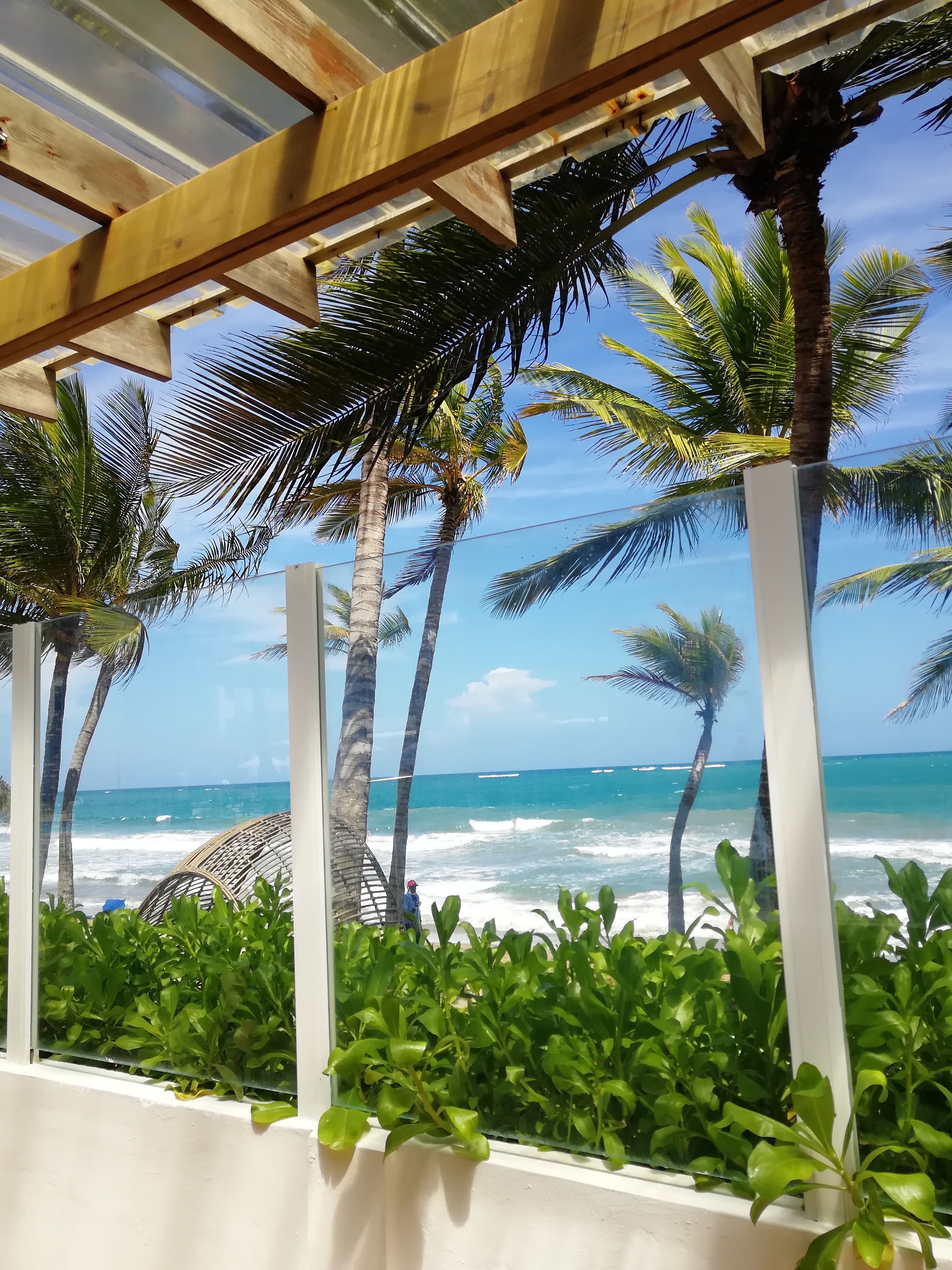 Фото Viva Tangerine by Wyndham, A Trademark All Inclusive