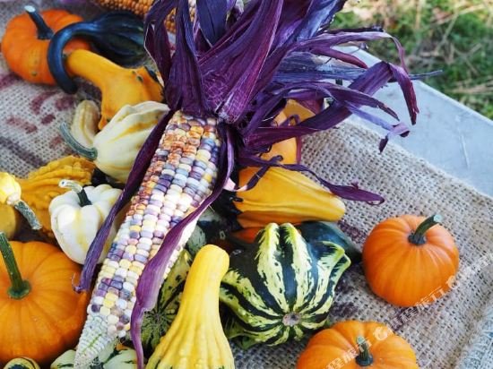 Фото Lady Geneva Bed and Breakfast