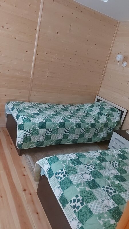 Зелёный уголок — фото 34