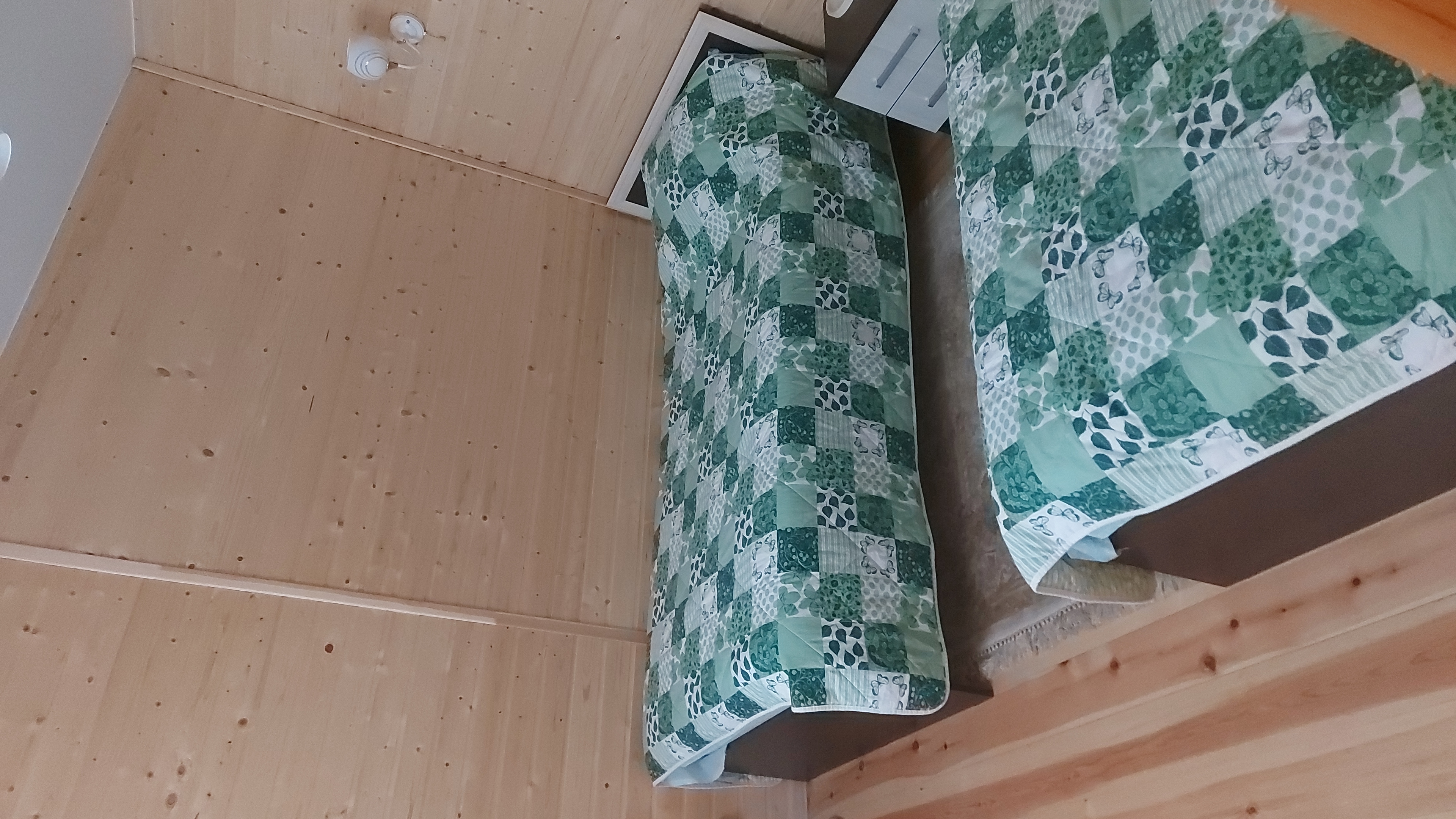 Фото Зелёный уголок