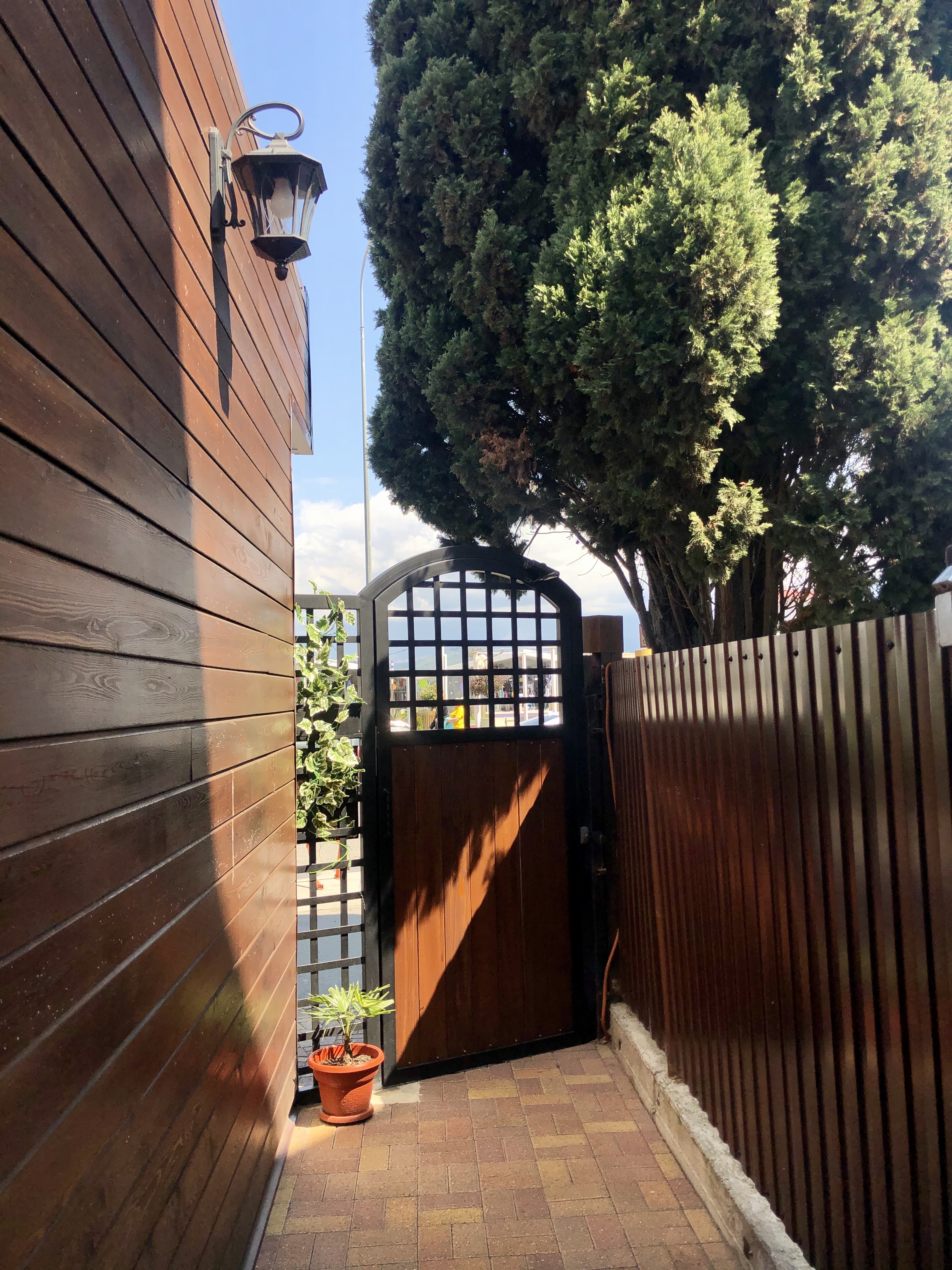 Фото Фигурный