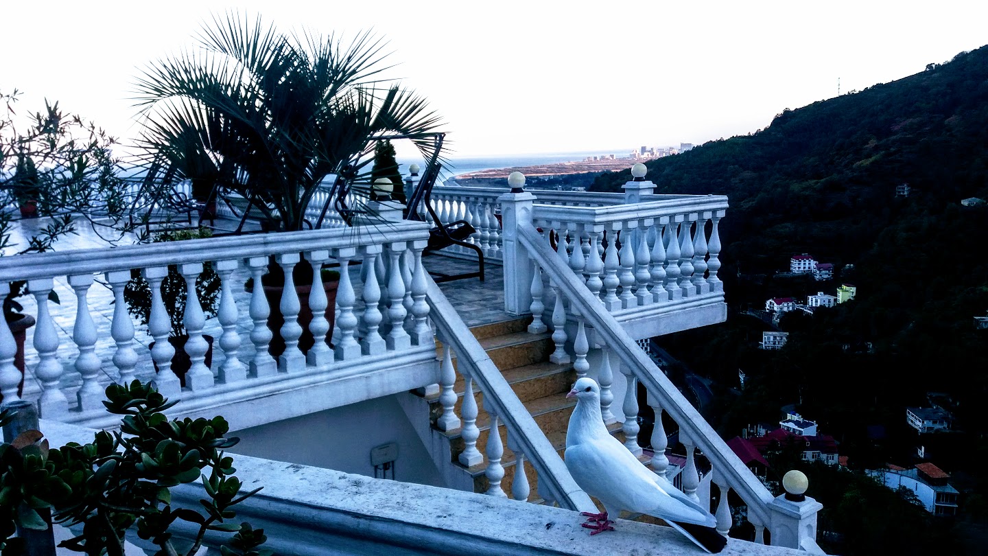 Фото Zura Palace