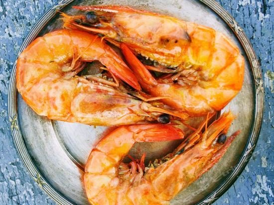 Фото Sheraton Metairie - New Orleans Hotel