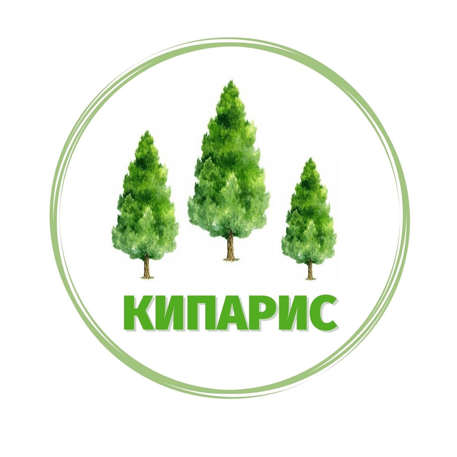 SPA. kiparis