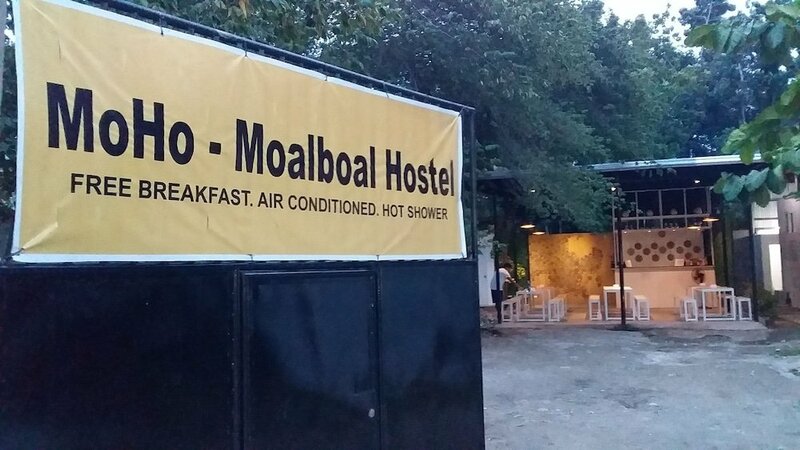 Хостел MoHo-Moalboal Hostel - Adults Only