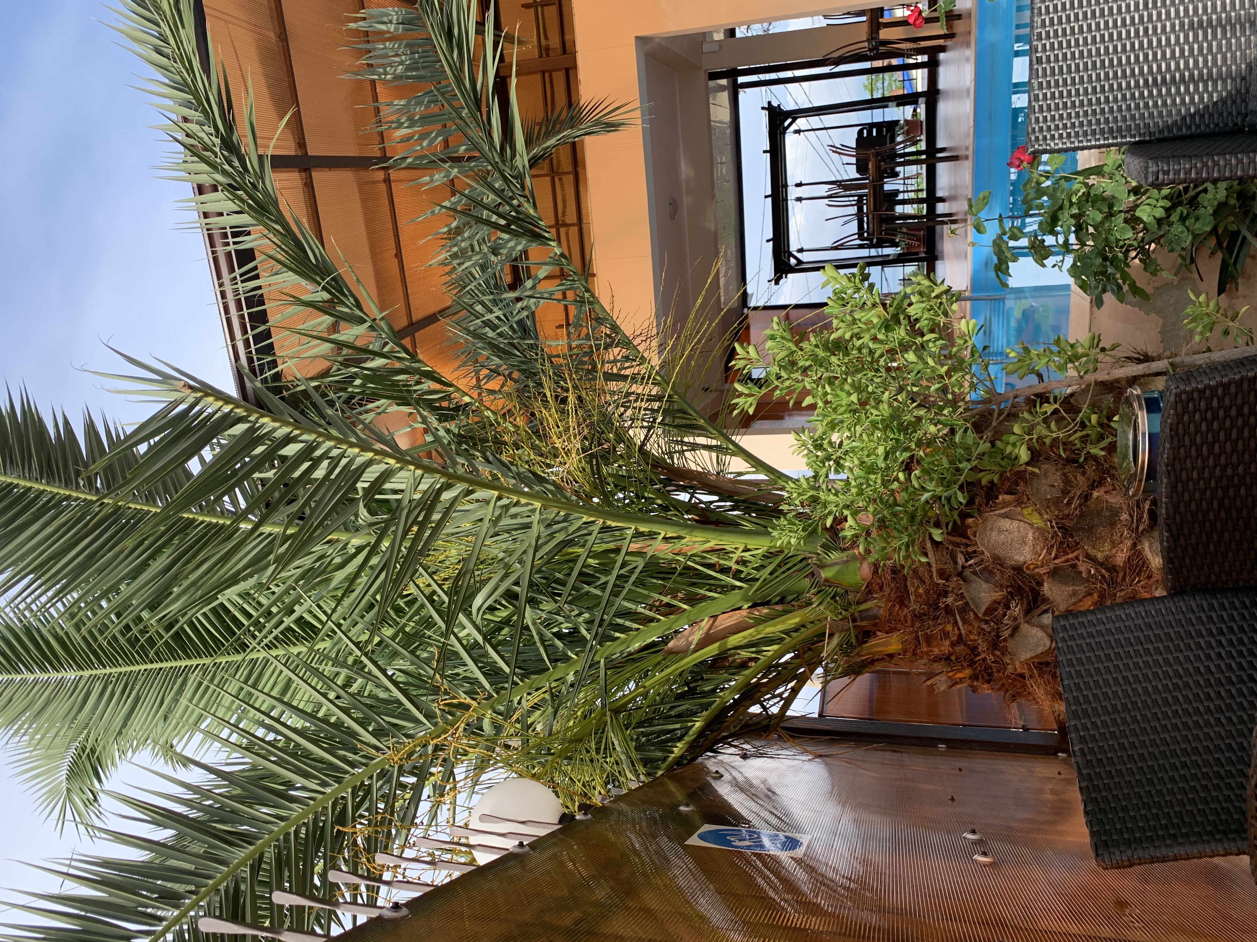 Фото АлексАндрия