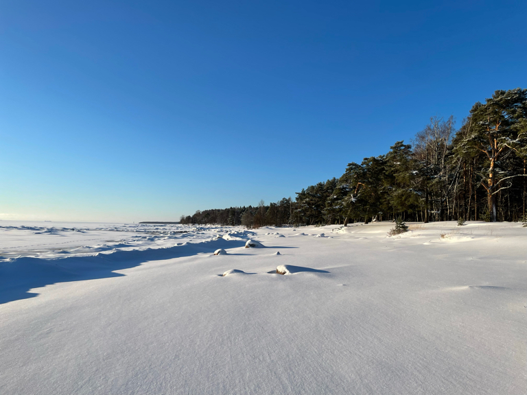 Фото Искатель