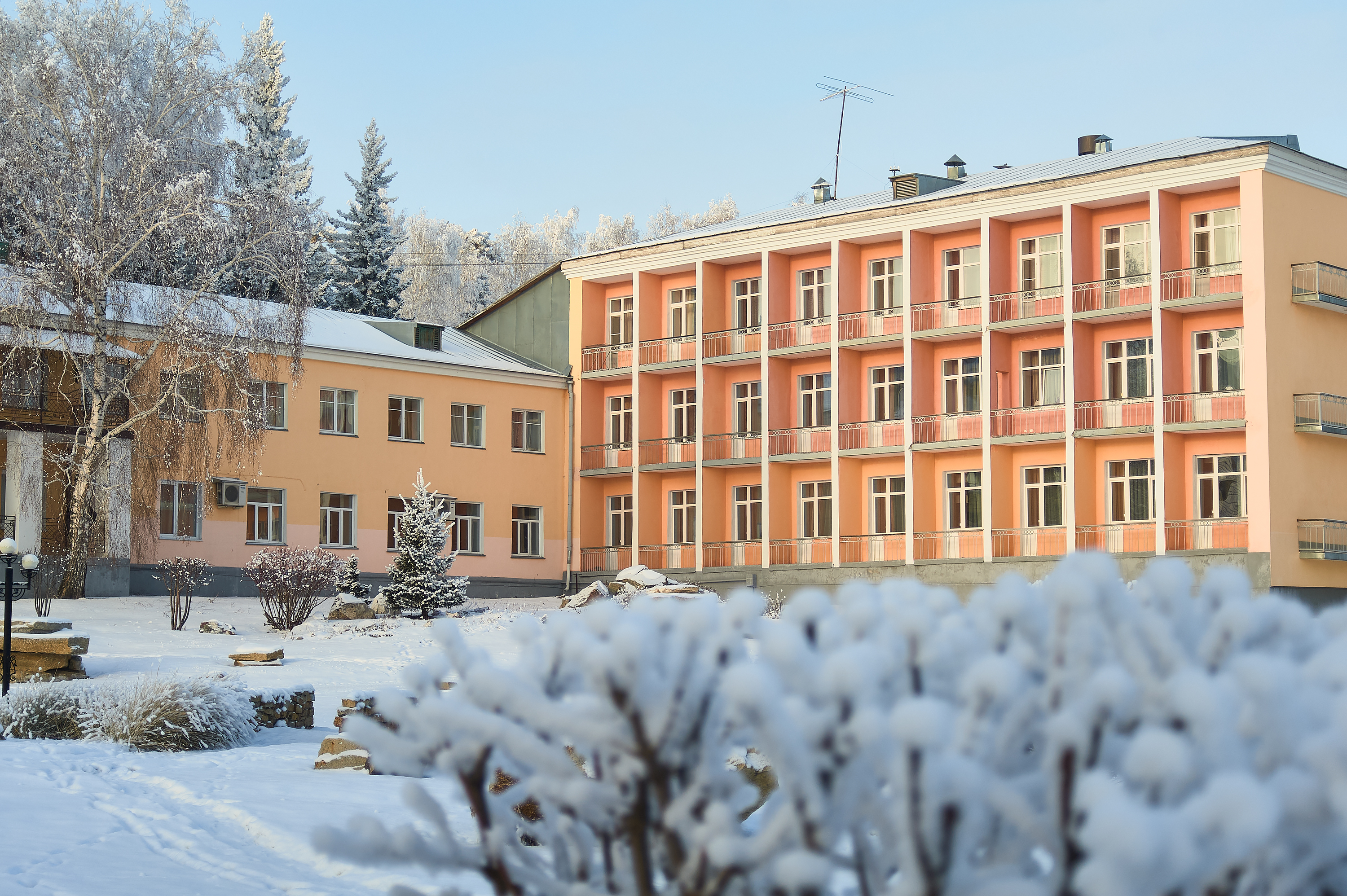 Фото Барнаульский