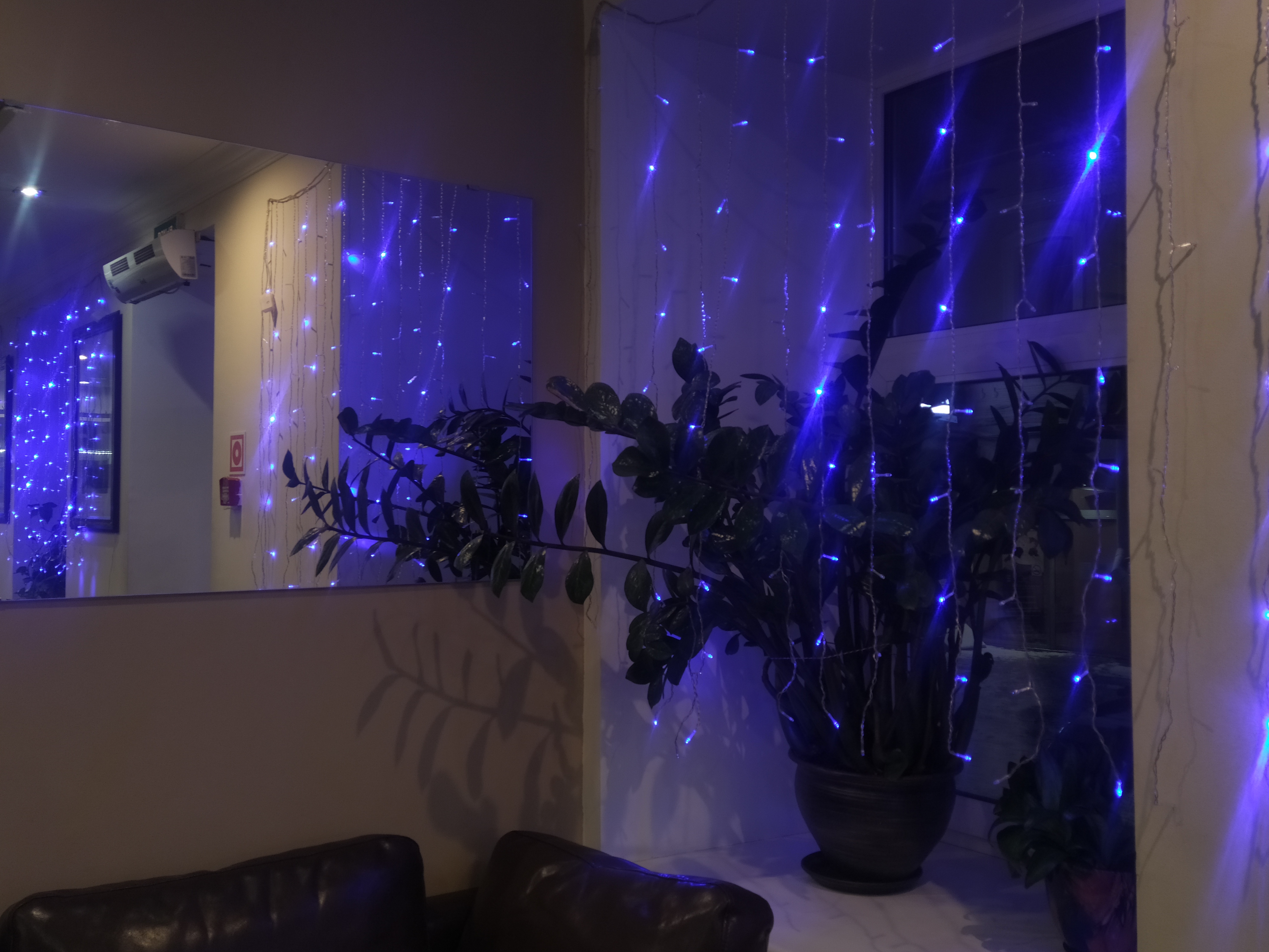 Фото Невский Астер