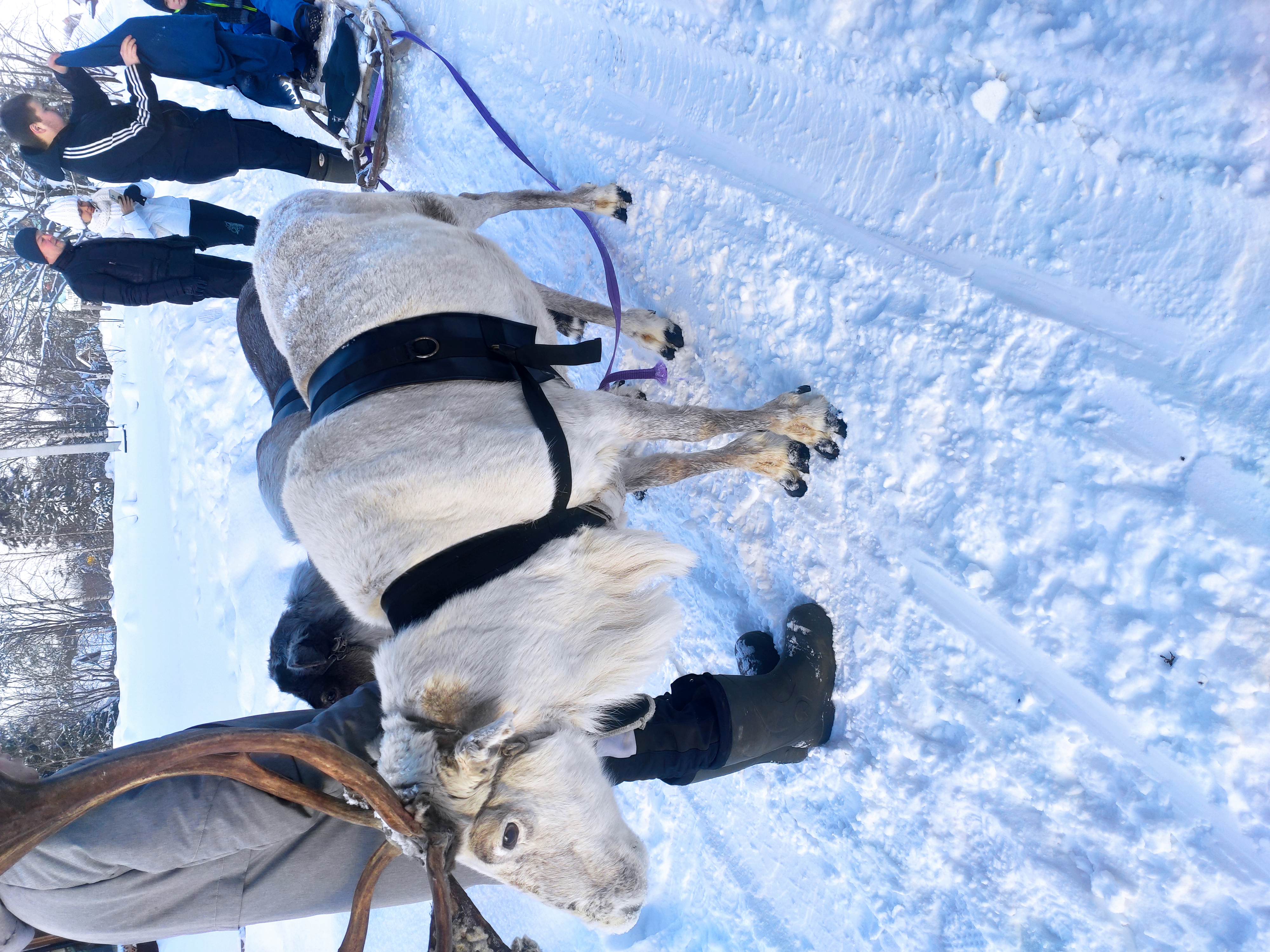 Фото Охотничьи сезоны