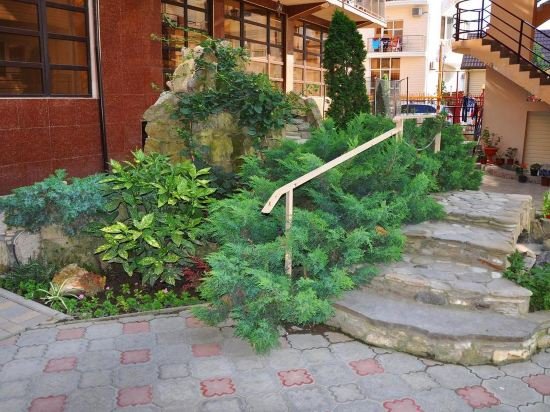 Фото Золотое руно