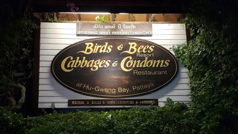 Фото Birds and Bees Resort