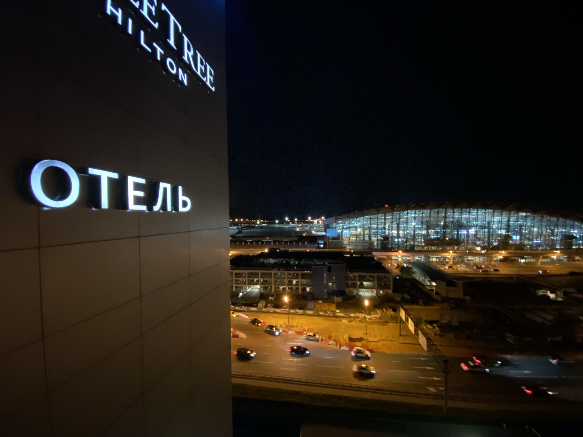 Фото DoubleTree by Hilton Moscow - Vnukovo Airport