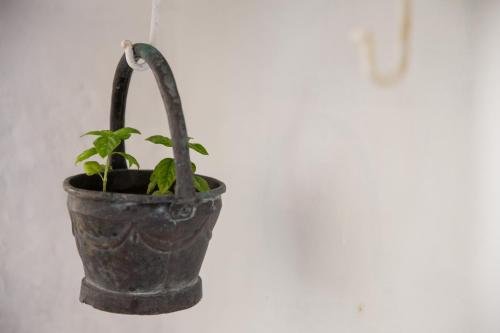 Фото Little Village House