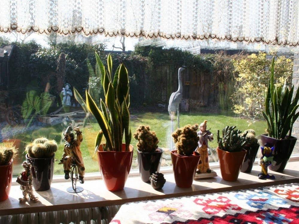 Фото Messezimmer4u