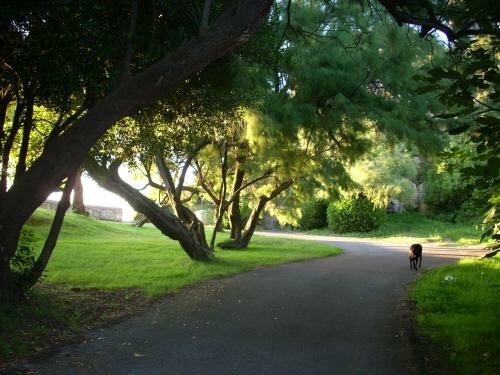 Внешний вид отеля Itxas Gain Getaria в Гетарии, фото 3