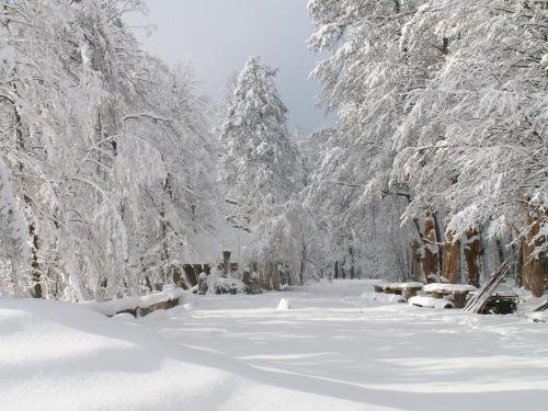 Фото Galindia Refugia