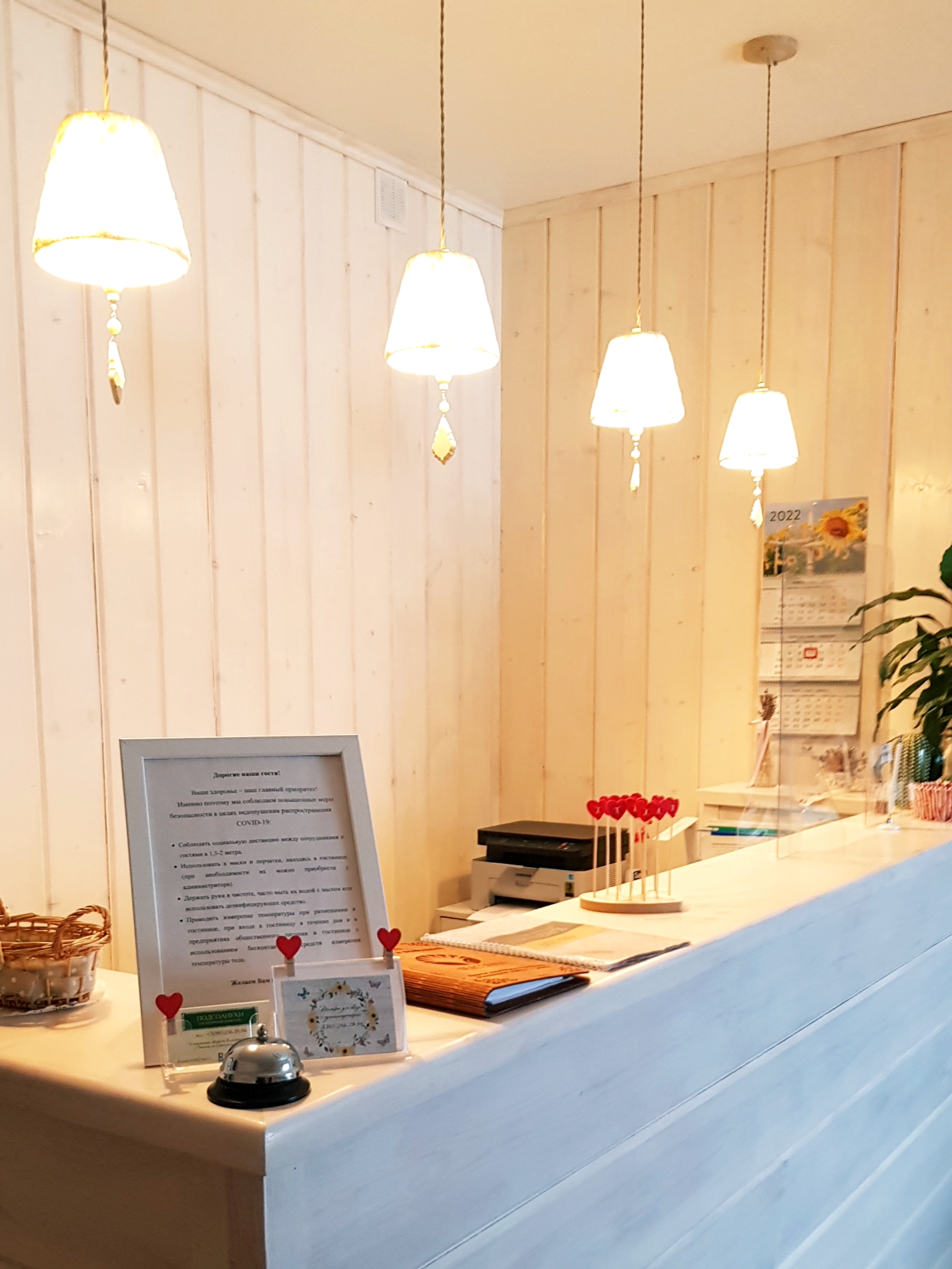 Фото Подсолнухи