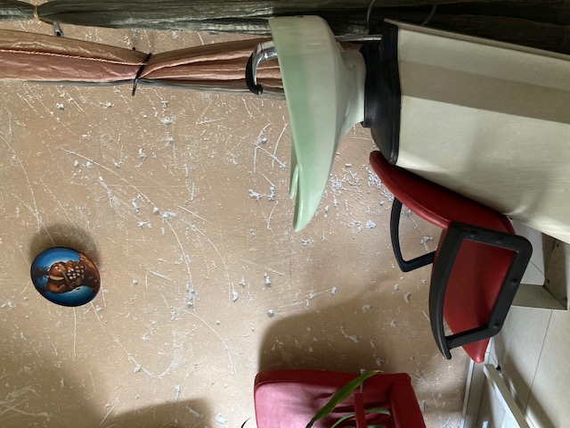 Фото Арабика