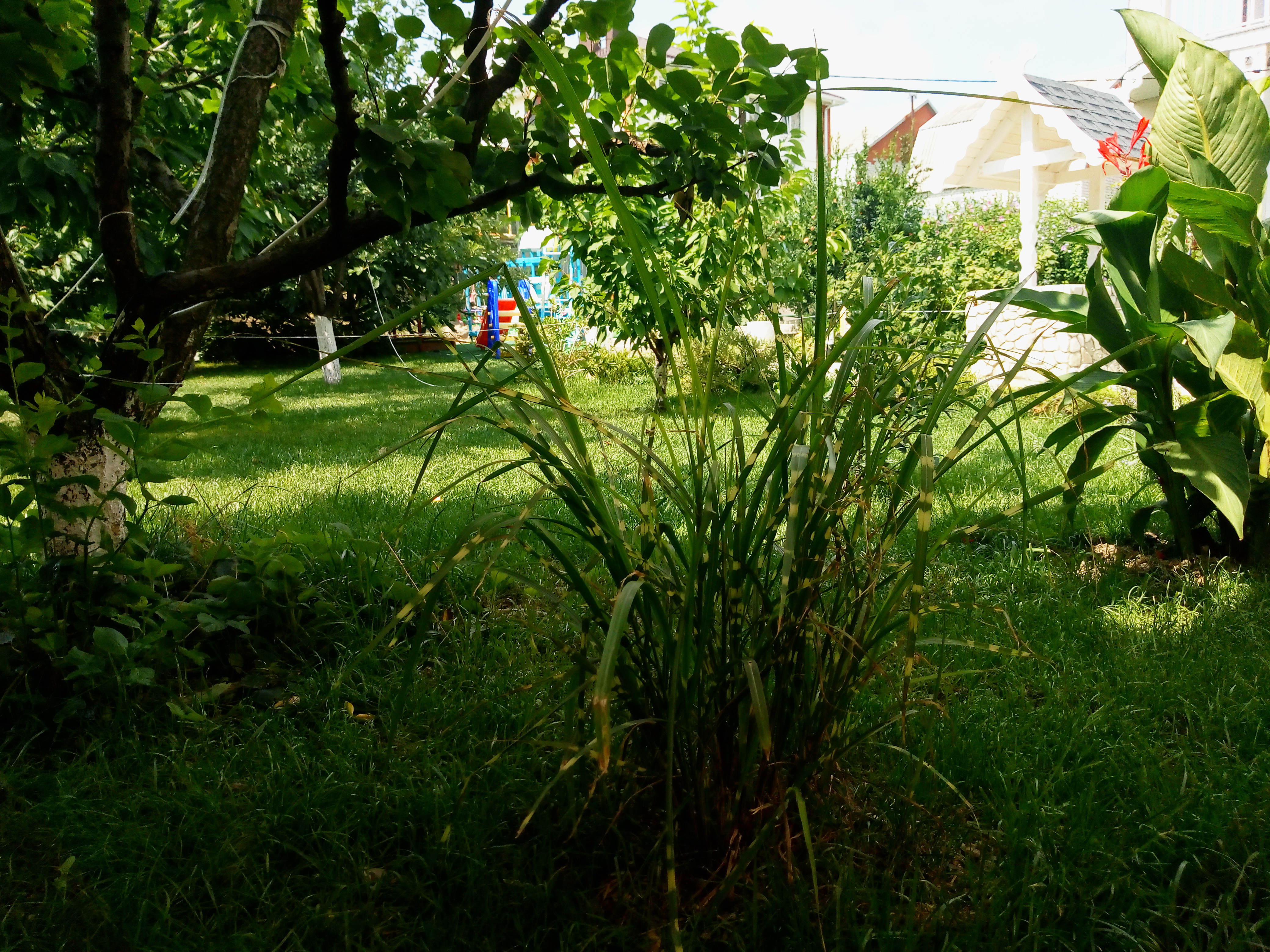 Фото Континент Резорт