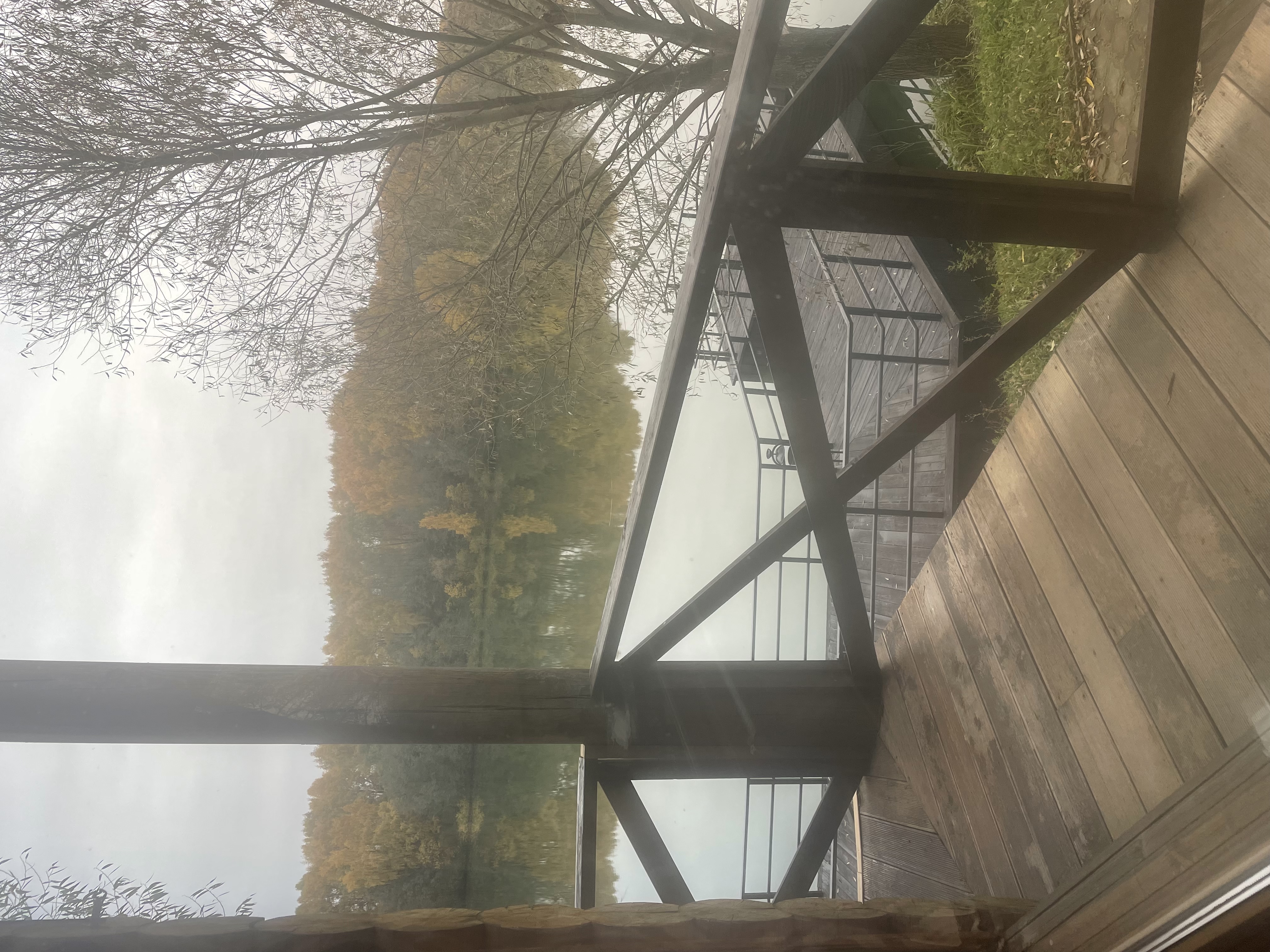 Фото Молоково