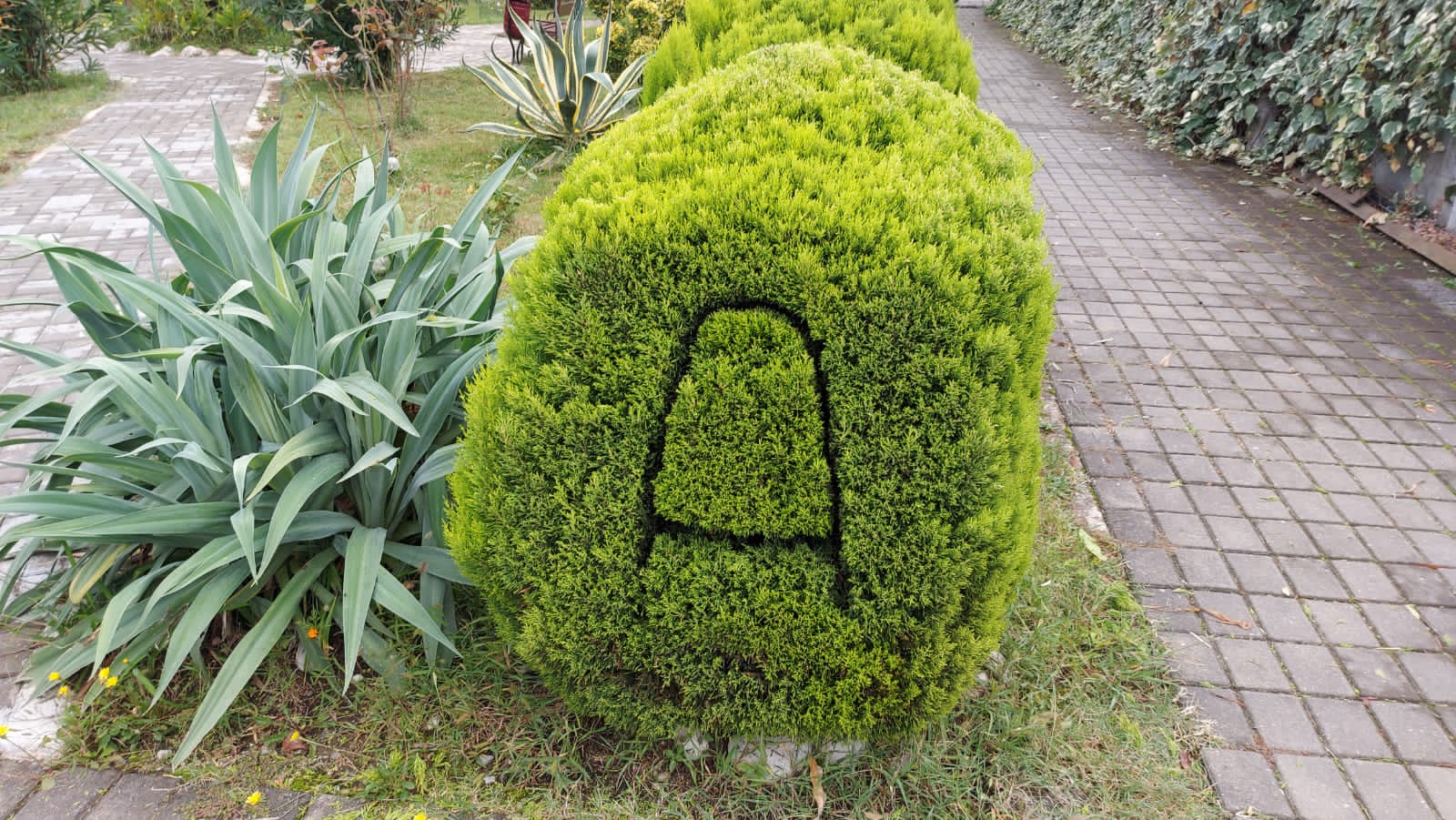 Фото Апсилаа