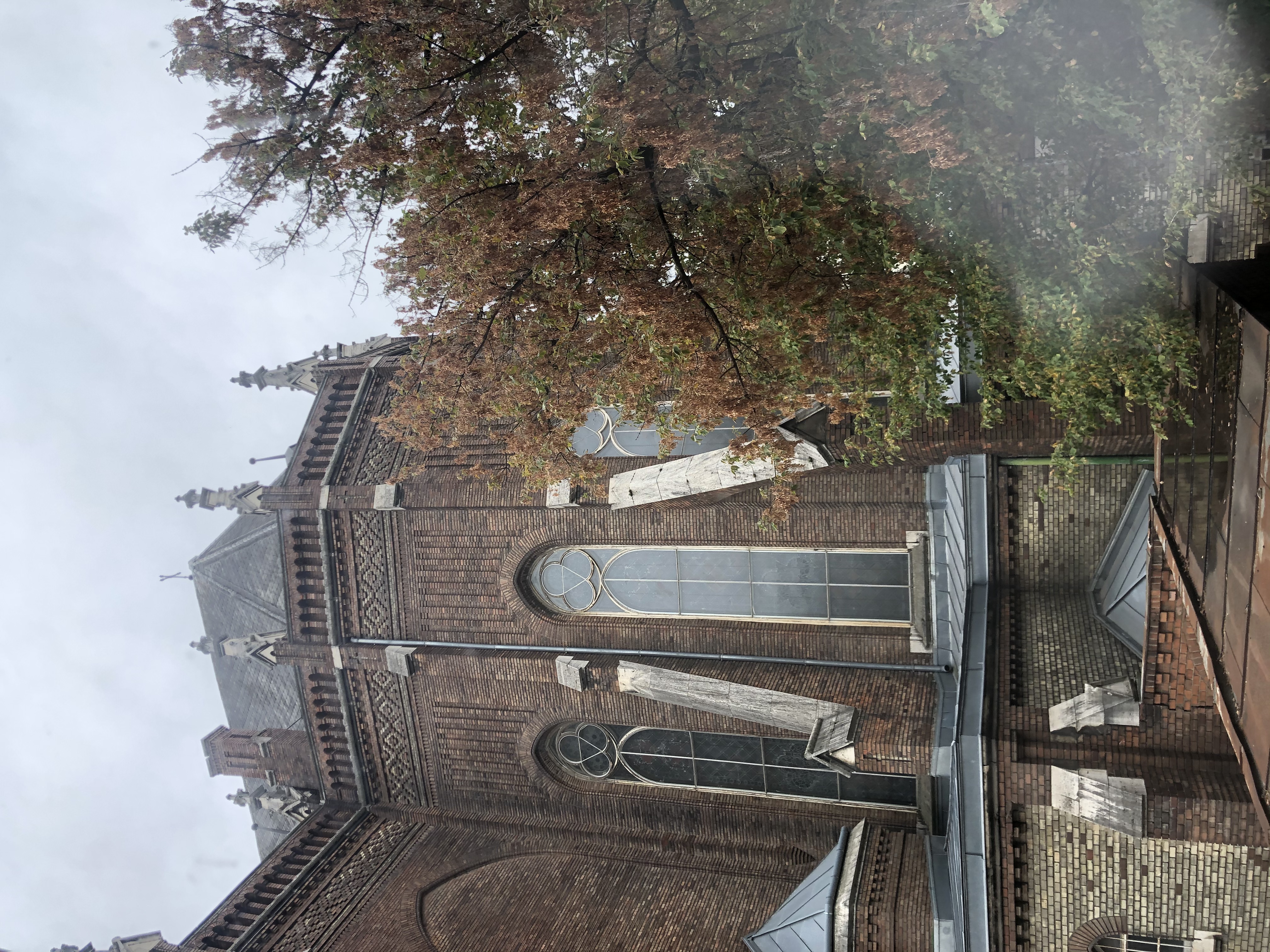 Фото Dominik Panzio