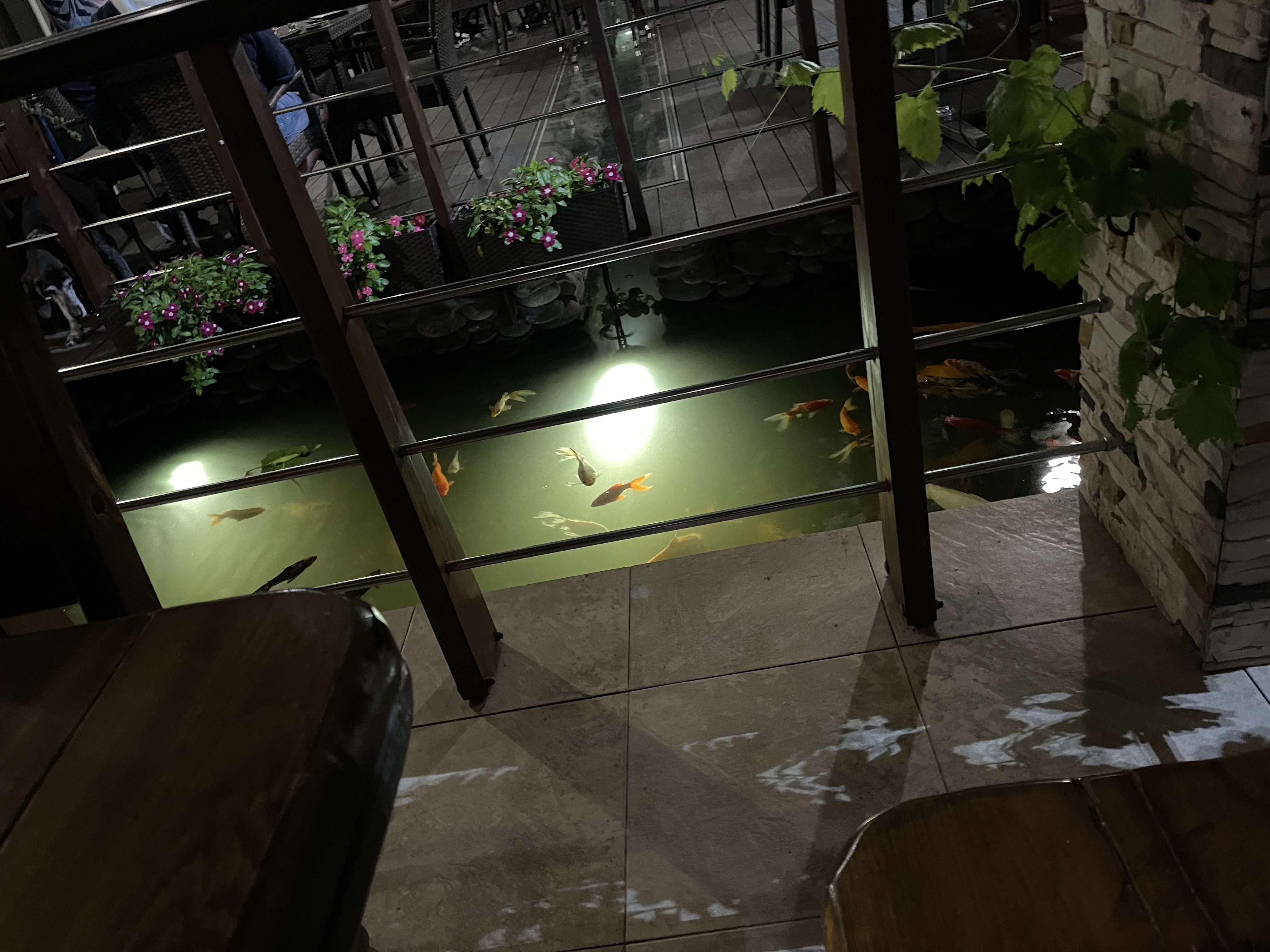 Фото Бельведер