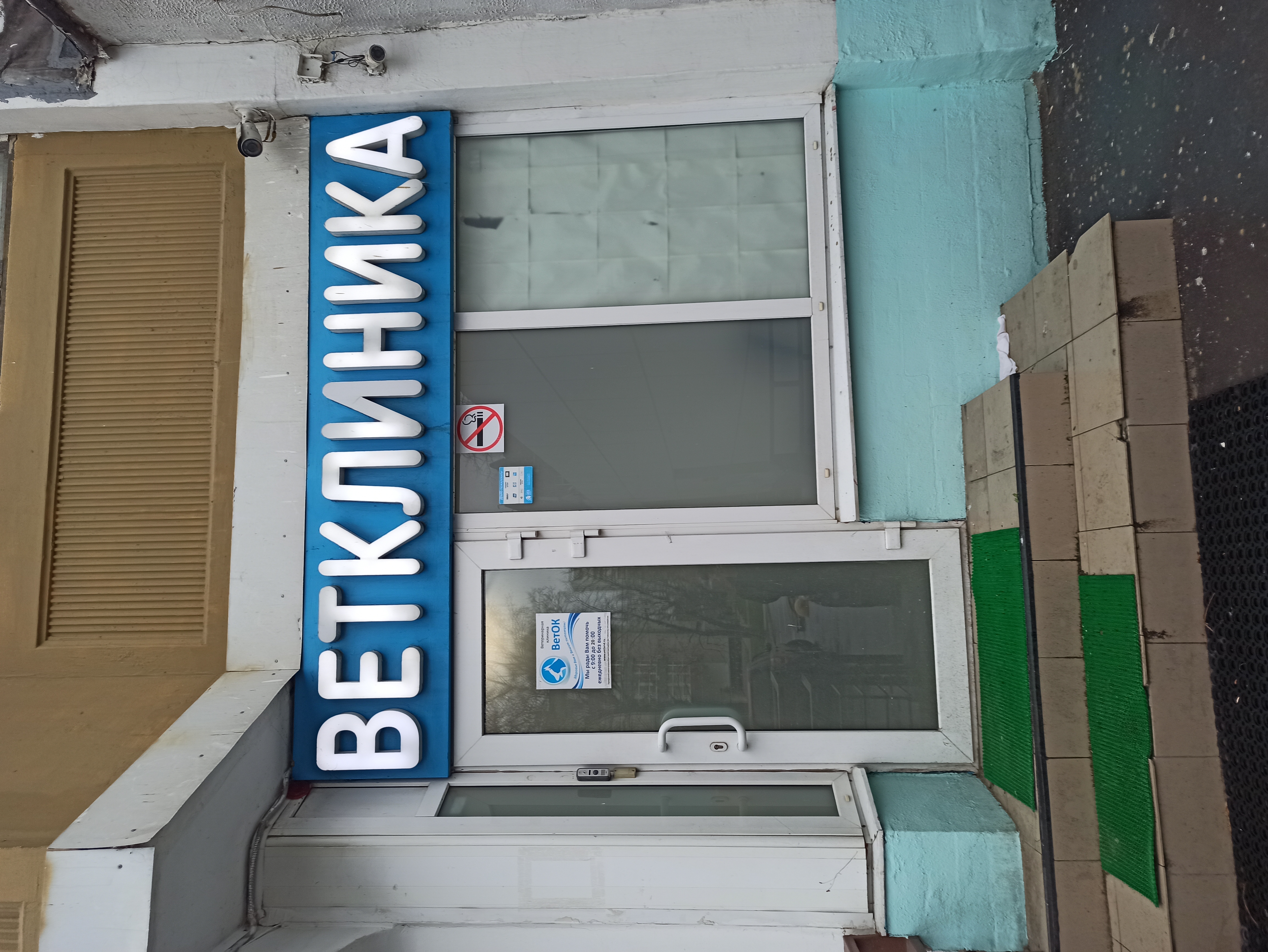 Веток - фото 12