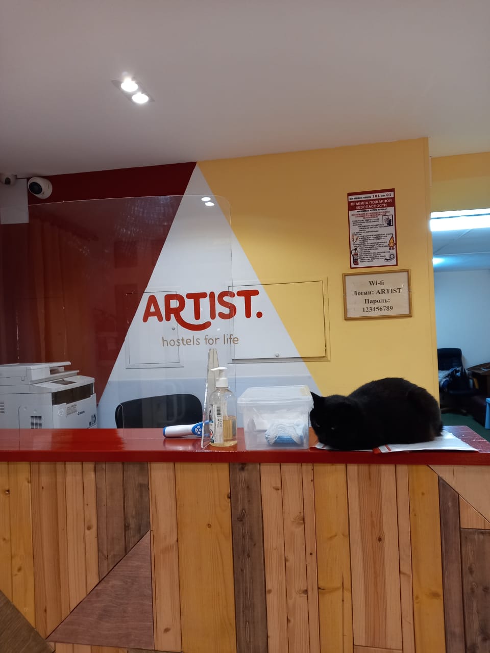 Фото Artist на Басманной