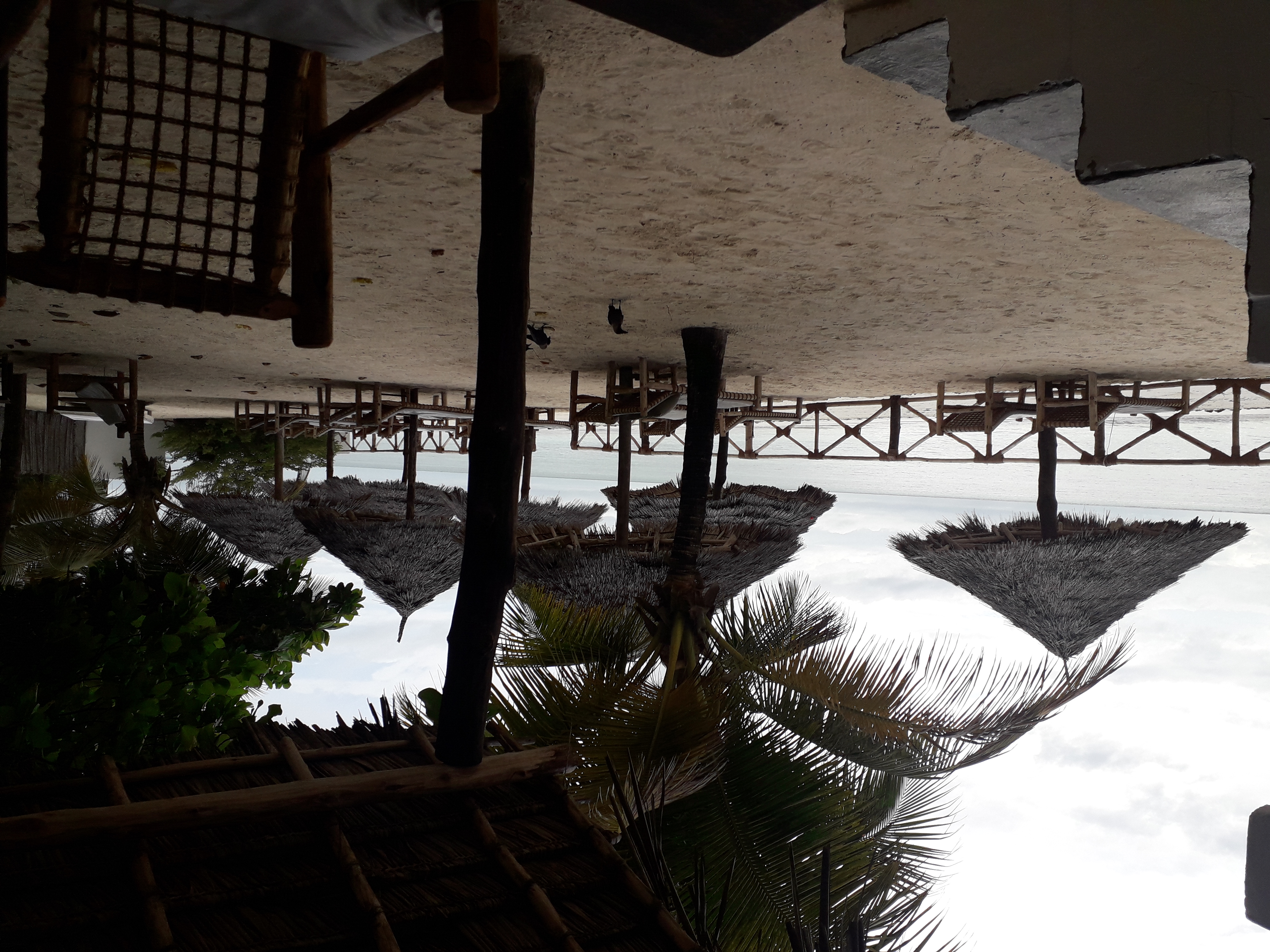 Фото Makuti Beach Bungalows