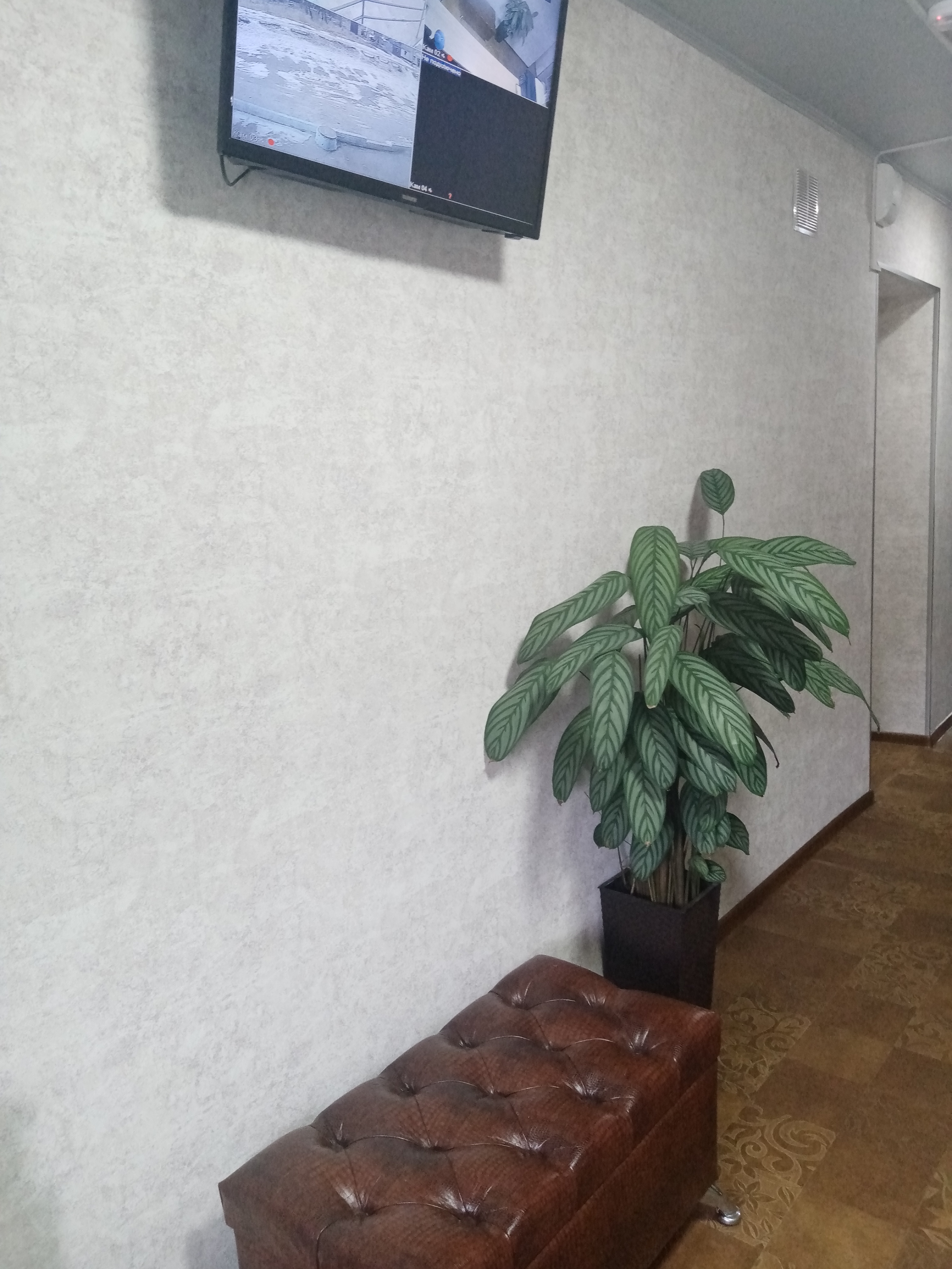 Фото Хорошая