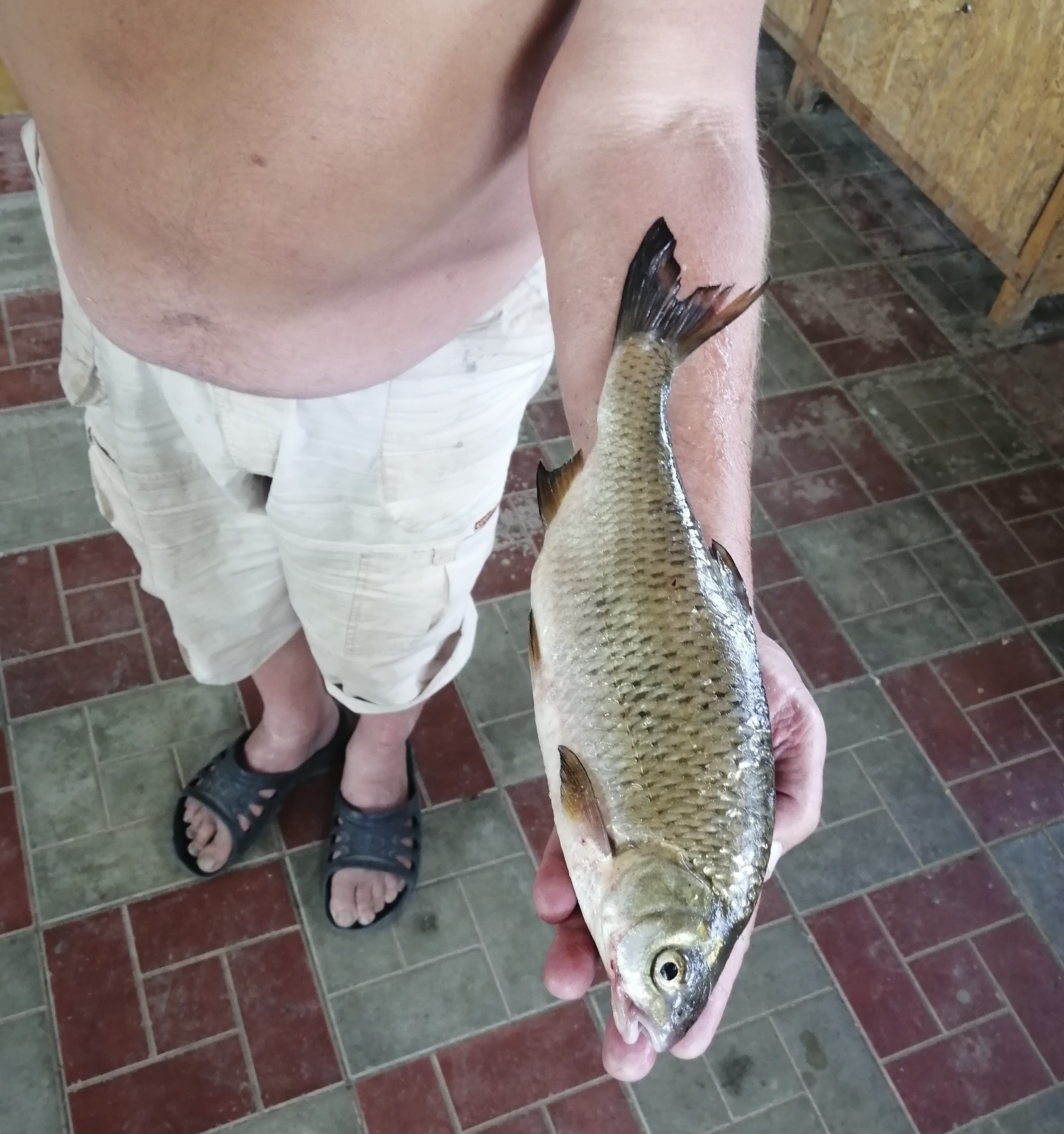 Фото Камышовый рай