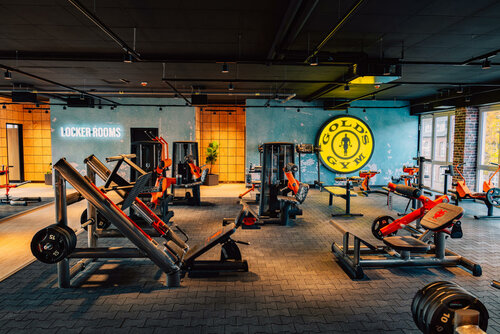 Gold's gym weight lifting equipment hotsell