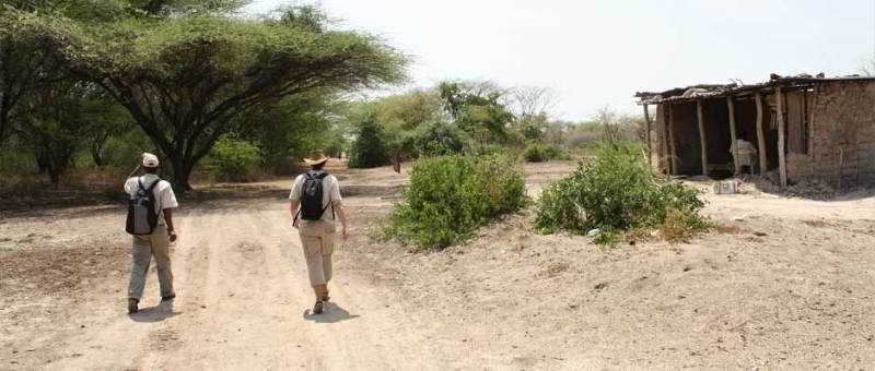 Фото Tlou Safari Lodge