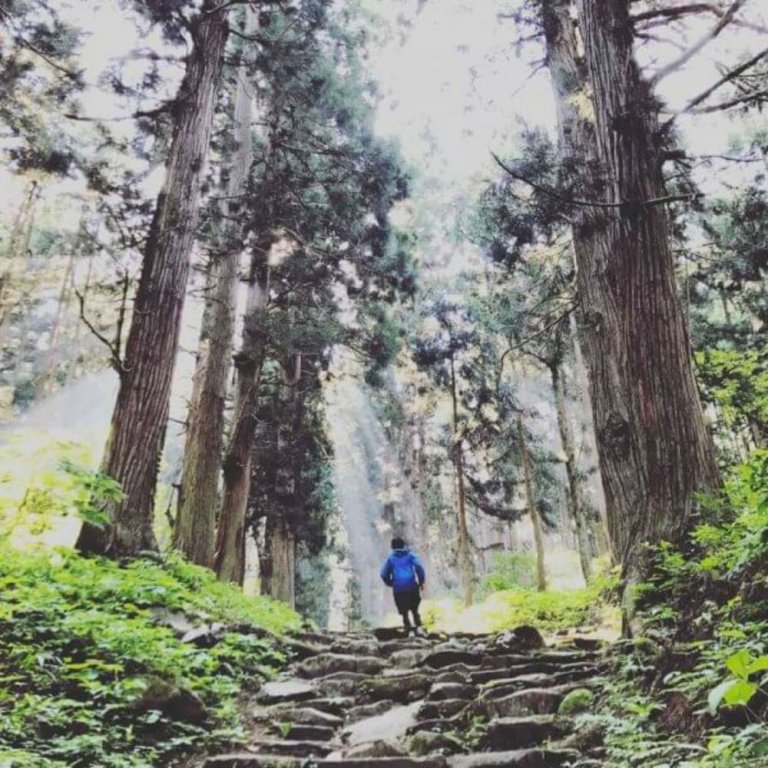 Фото Alpine Villa Nozawa