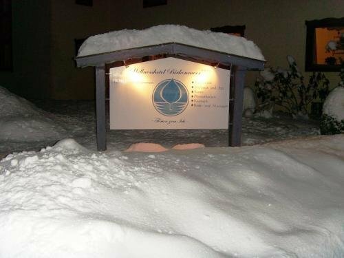 Гостиница Wellnesshotel Birkenmoor Garni