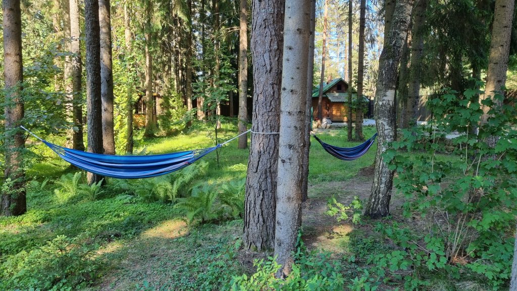 Фото Wish Seliger