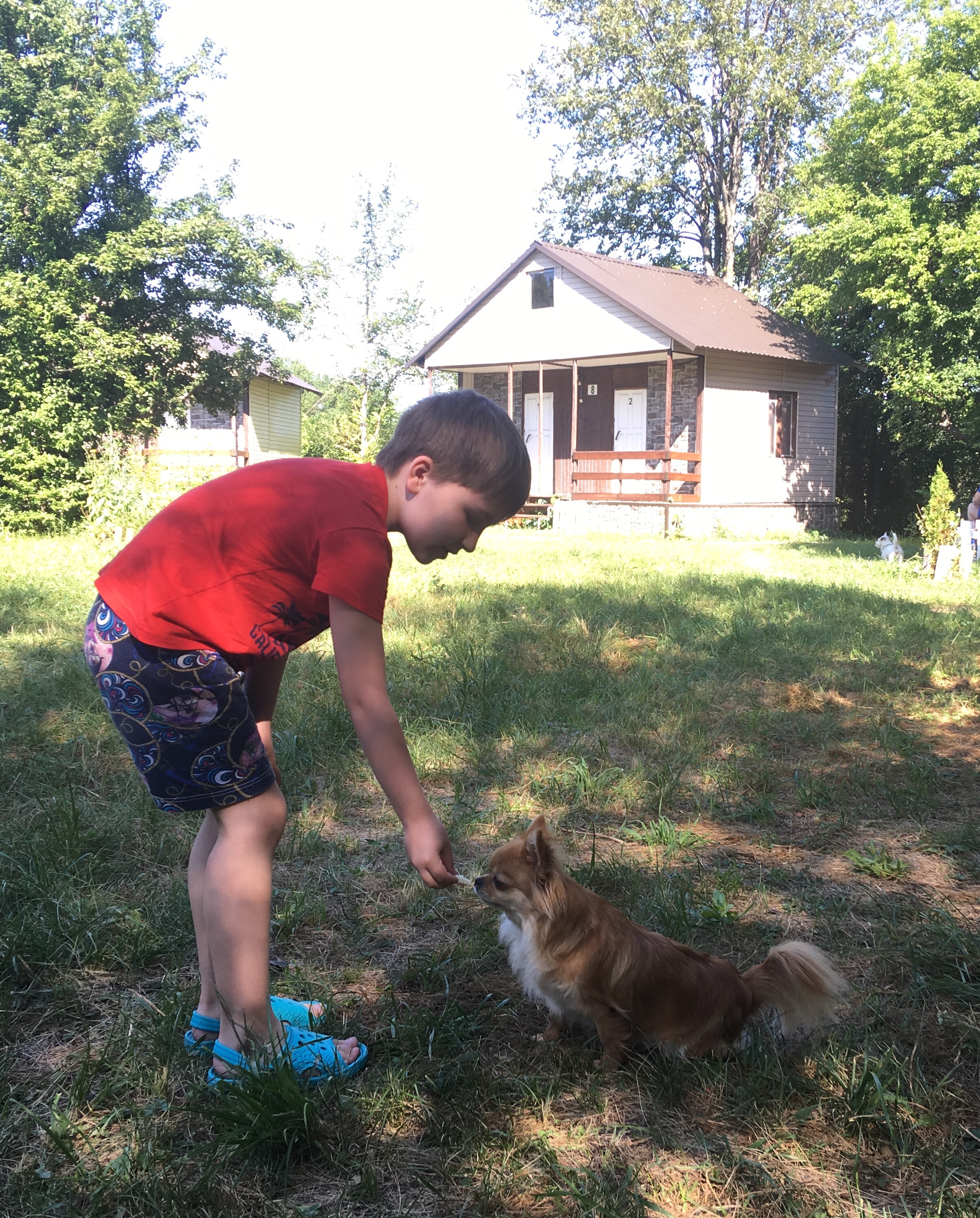 Фото Волшебница