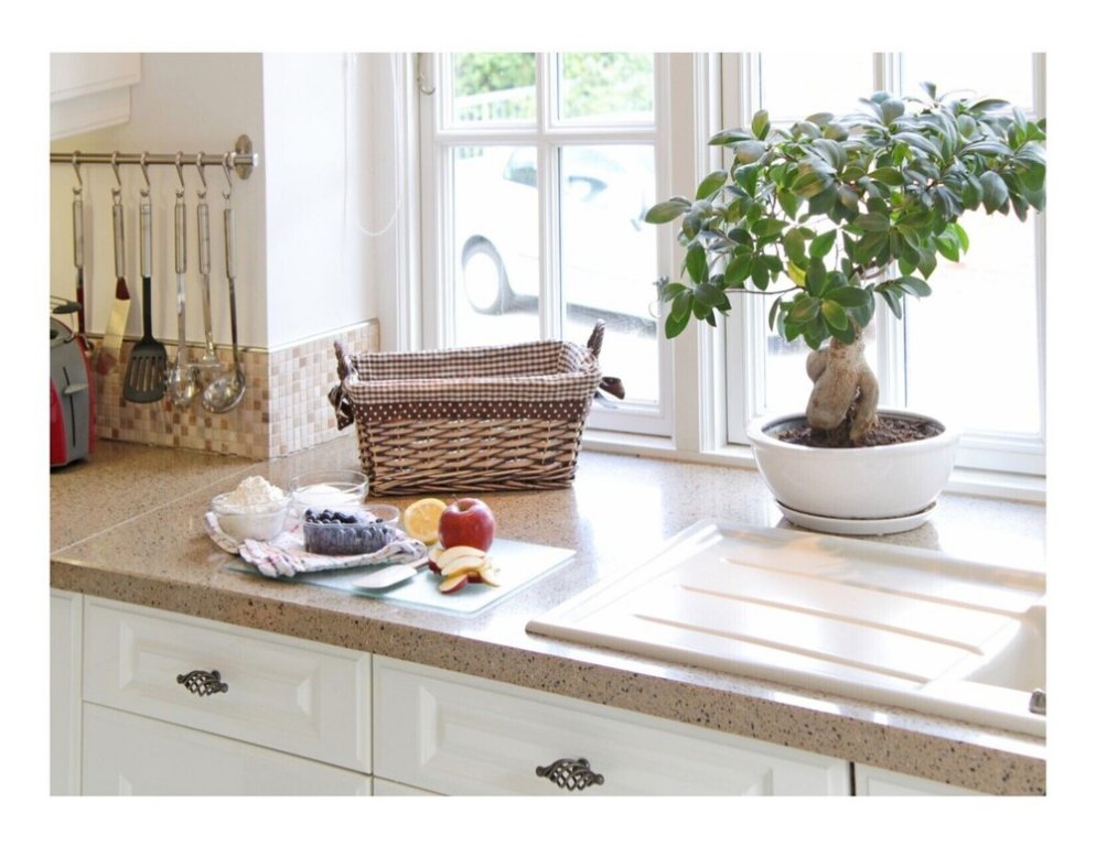 Фото Eagles Nest at the Museumsberg