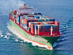 Art Maritime (İstanbul, Kartal, Kordonboyu Mah., Ankara Cad., 108) ، وكالة بحرية