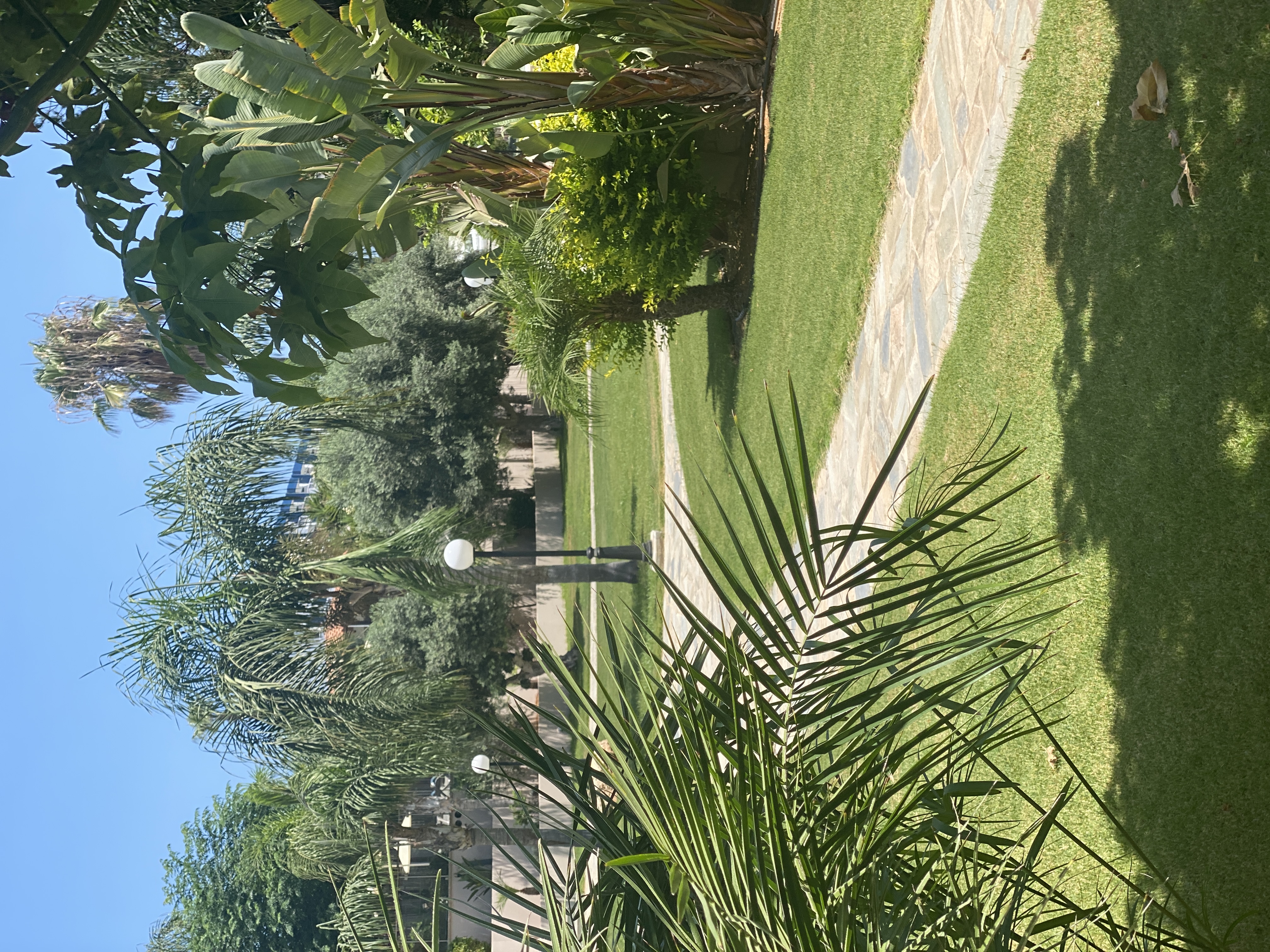 Фото Melissi Beach Hotel & SPA