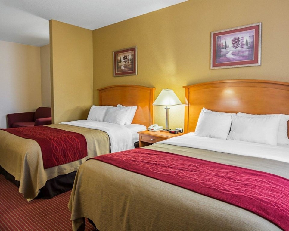 Фото Comfort Inn & Suites Chesapeake - Portsmouth