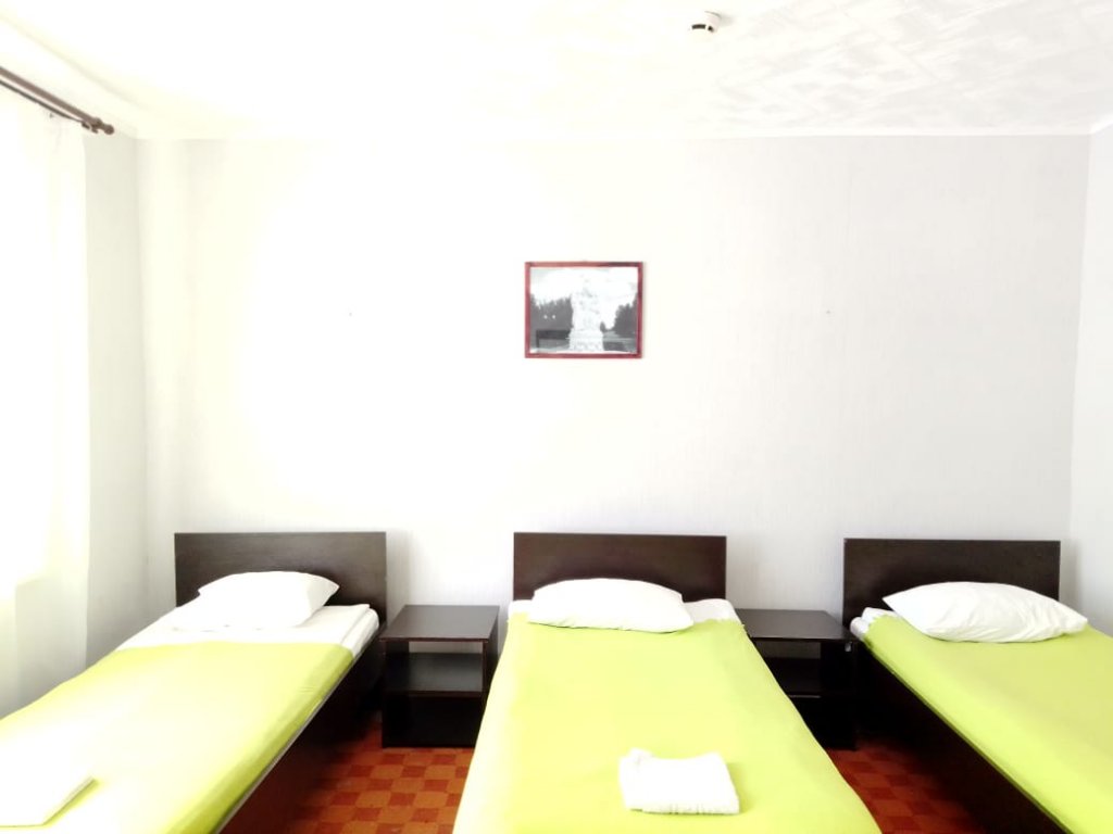 Фото Базилик