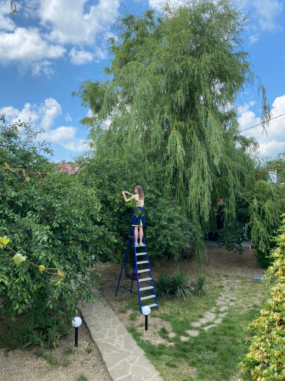 Фото Blaga House design dacha