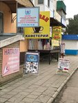 Мигрант-сервис (улица Толстого, 7), migration services