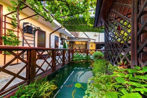 Фото Золотая рыбка